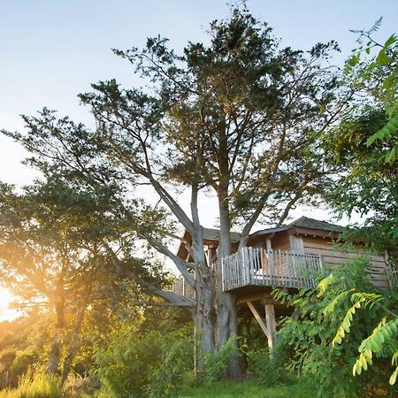 La Gree Des Landes - Eco-Hotel-Spa Yves Rocher Ла Гасили Екстериор снимка