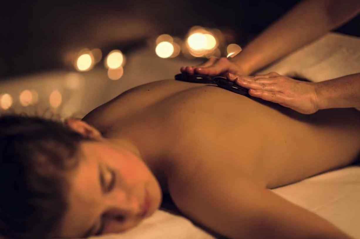 La Gree Des Landes - Eco-Hotel-Spa Yves Rocher Ла Гасили Екстериор снимка