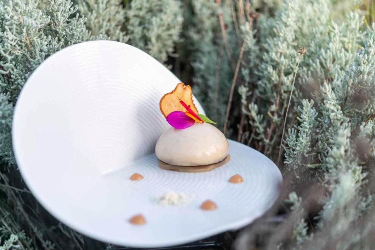 La Gree Des Landes - Eco-Hotel-Spa Yves Rocher Ла Гасили Екстериор снимка