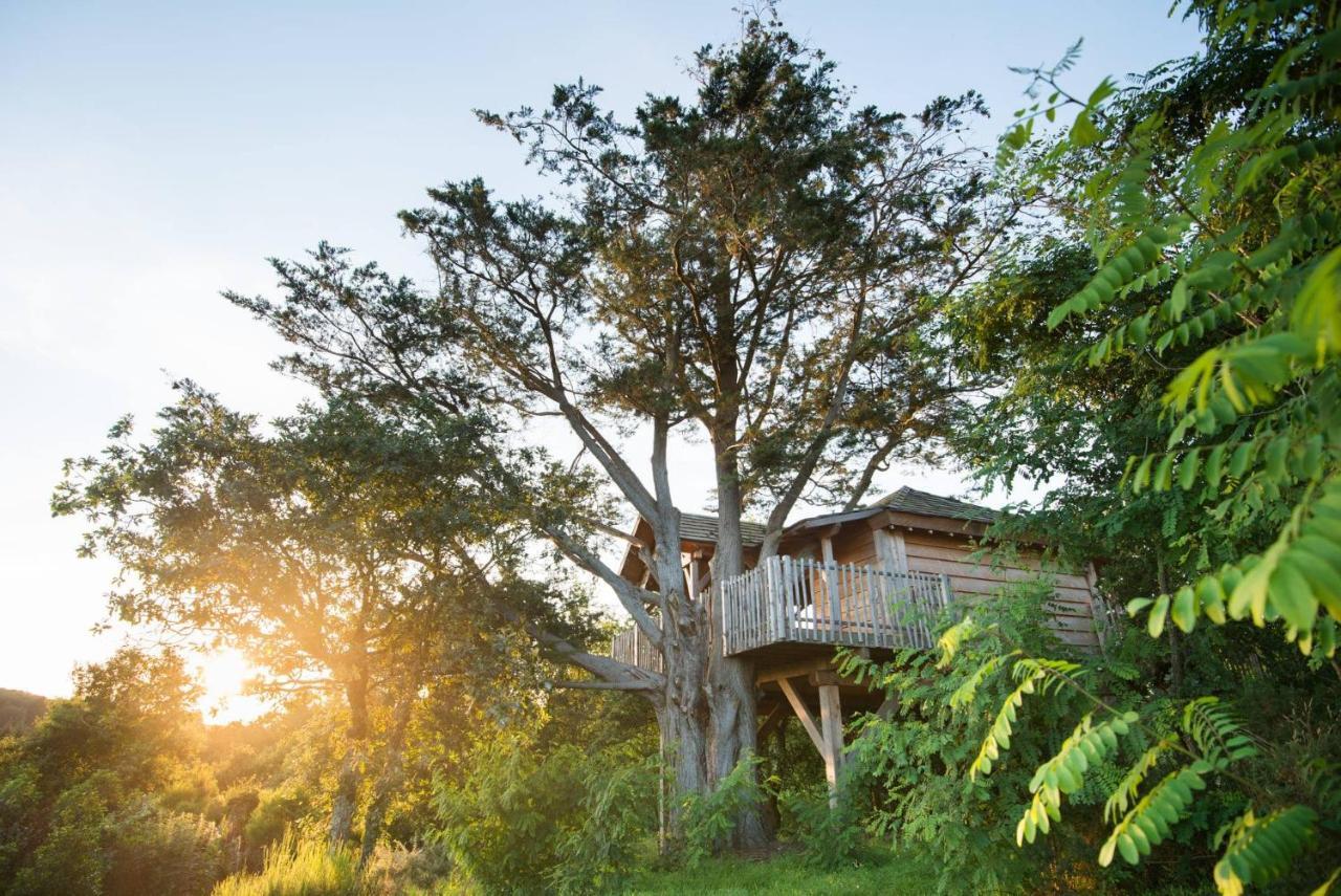 La Gree Des Landes - Eco-Hotel-Spa Yves Rocher Ла Гасили Екстериор снимка